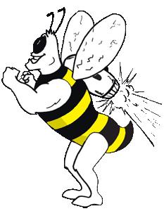 Rocket Bee